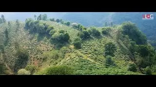 ROSEMALA | AMBANAD HILLS | SHENDURNEY WILDLIFE SANCTUARY | KERALA | VLOG WITH VISAKH VIJAYAKUMAR