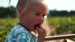 How to Pick Strawberries