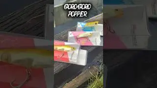 Goro2 popper By @garnispancing ‼️🤙#fishing #rivewbarang #rivewlure #fyp