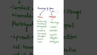 Functions of Stem #morphologyoffloweringplants #shorts