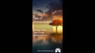 Universal Laws as compiled by Lynne Forrest #Shorts