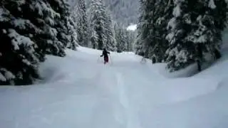 powder nadia