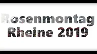 Rosenmontagszug Rheine 2019