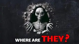 The Search for Extraterrestrial Intelligence: Are We Alone in the Universe?