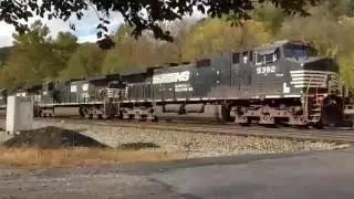 Dash 9 Power Leads NS 217