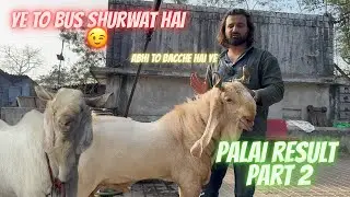 Bacche De Rahe Hai Aise Result Ab To Bade Bohhat Baki Hai Palai result Part 2 Dgoatfarm  #dgoatfarm 