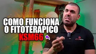 Como funciona o fitoter&aacute;pico KSM-66 | Withania somnifera