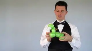 Balloon Library #34 - 3 Balloon Turtle - Your Balloon Man