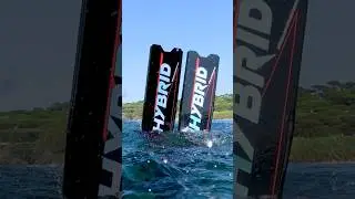 Chasse sous-marine - Pr&eacute;dateurs petit fond 2025 test palmes Hybrid #epsealon #pescasub #spearfishing