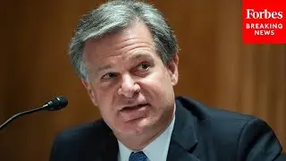 GOP Lawmaker Asks FBI Director Point Blank If DEI Hiring Practices Have 'Hampered' Security