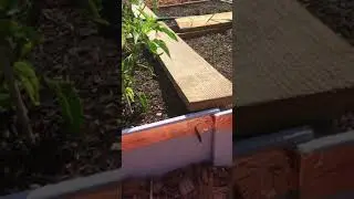 Copper Tape - Snails