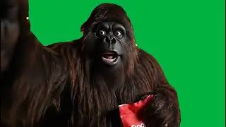 Bigfoot is a DoorDash Driver Green Screen!