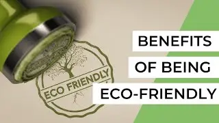 The Importance of Being Eco-Friendly  (Benefits for You and the Environment)