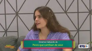 En confianza- Peces que cambian de sexo