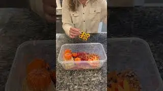 DIY Fall-Themed Sensory Bin Fun for Kids! #dollartree