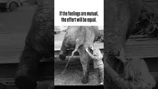 If the feelings are mutual, the effort will be equal. #people  #relationship  #feelings