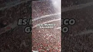 ES EL MU&Ntilde;ECO GALLARDO! #futbol #vamosriver #rivercampeon