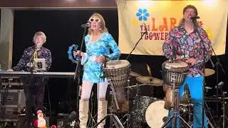 The Large Flowerheads (NaNa Hey Hey Goodbye) - Neffs Church Drive - July 26, 2025