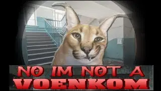 No im not a VOENKOM  Нихрена не понял