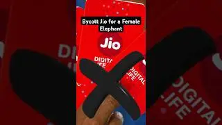 People Boycott Jio Sim For a Female Elephant | #shorts #shortsfeed #shortsvideo #viralvideo #viral