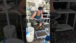 Is there Gold in Pipe Clay Creek!#goldprospecting #goldpanning 