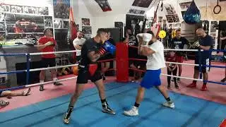 Malta boxing 2020(1)