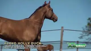 12   FLOYD HOLLY BUCK