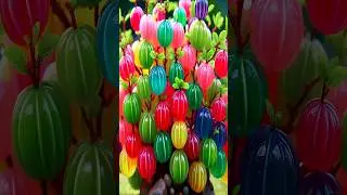 easy and fast techniques for propagating and growing gooseberry (amla) fruit trees #garden #fruits