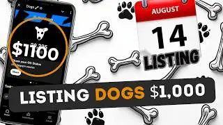 Listing DOGS ! How not to lose your Airdrop? How much is DOGS worth? All Information About DOGS!