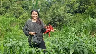 Harvest mild chili
