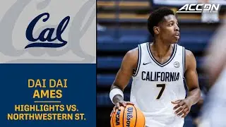 Cal's Dai Dai Ames Highlights vs. Northwestern State