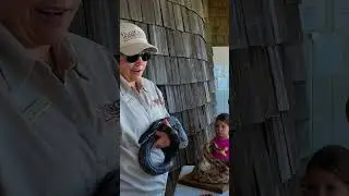 The TRUTH about Snakes in Georgia: Facts - No. 2 #shorts #snakes