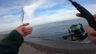 Durgun suda levrek avı / Denemediğim sahte kalmadı :)🎣 /#levrek #seabass #spinfishing