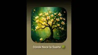 Dónde Nace La Suerte 🍀