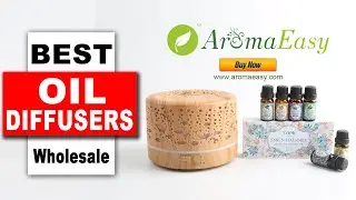 Wholesale Diffusers Mini Essential Oil Diffuser A065