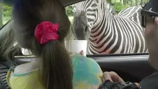 Hidden Valley Animal Adventure 7-31-22