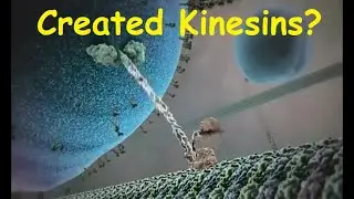 Created Kinesins?