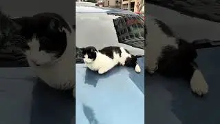 Car Security System. For more videos, please subscribe and like
