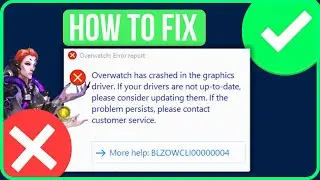 Overwatch Has Crashed In The Graphics Driver [FIXED] | Fix BLZOWCLI00000004 Error On Launch