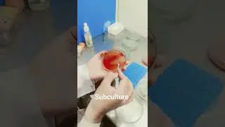 subculture method microbiology