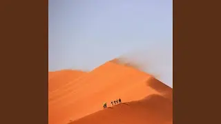 The Creative Stingers
