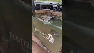 Safari vehicle stormed by elephant and damaged