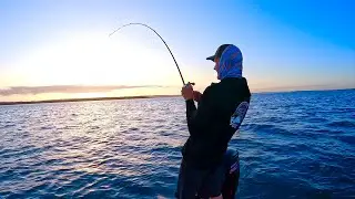 Крупная рыба движется в заливе Мортон