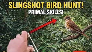 Tirador Bird Hunt! Primal Skills sa Gubat | Slingshot Hunting PH. #tirador #slingshot  #hunting 