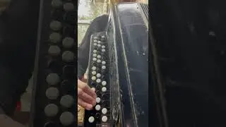 Баян Кирилловская Фабрика
