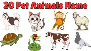 20 pet Animals Names for Kids | pet Animals Learning Video | Pet Animals with Pictures