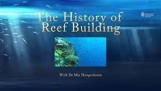 The history of coral reef building