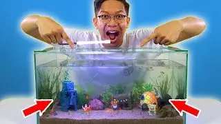 KITA BIKIN KOTA BlKlNl B0TT0M DI DUNIA NYATA!!!