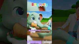 The Elephant Health Checkup | Animals All Around | Billy Molly - Learning Songs - Nursery Rhymes