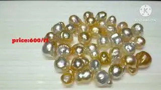 NATURAL BURMA PEARL 🦪 (MOTI, মুক্তা) 600/rt . whastapp -6297534707..hurry up!! hurry up!!